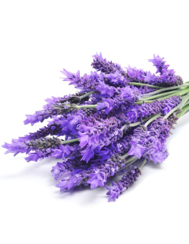 Geschenkset Savonitto Lavendel