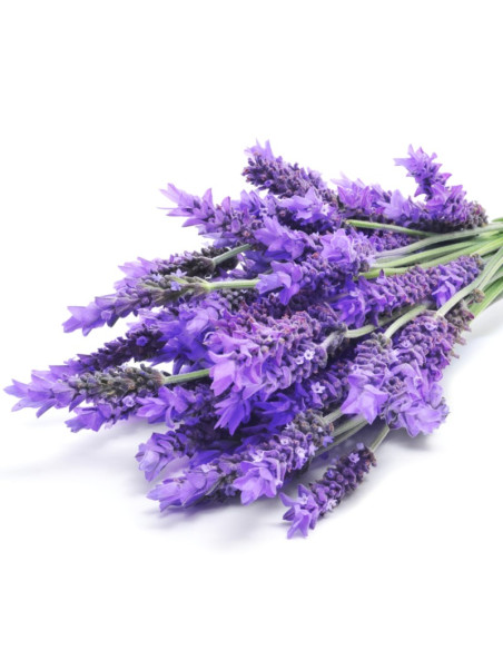 Geschenkset Savonitto Lavendel