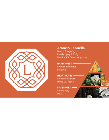 Logevy Diffuser Arancio Cannella