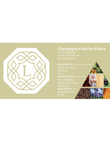 Logevy Diffuser Champagne e Bacche di Rosa