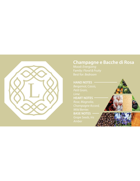Logevy Diffuser Champagne e Bacche di Rosa
