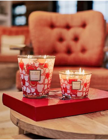 Baobab Collection Crazy Love