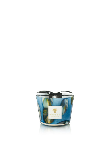 Baobab Collection Oceania Tingari