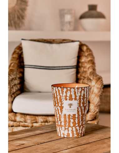 Baobab Collection Ancient Mark Papunya