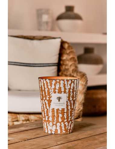 Baobab Collection Ancient Mark Papunya