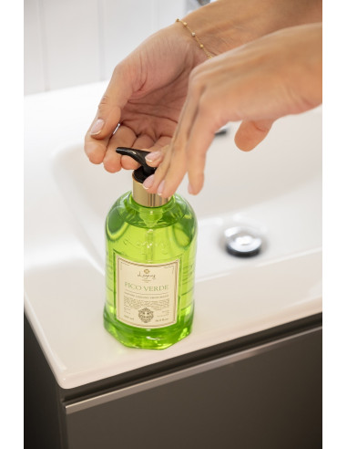 Logevy Handwash Gel 500 ml Fico Verde