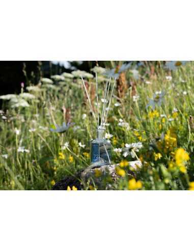 MySenso Refill Nr.72 Natural Flowers 200 ml