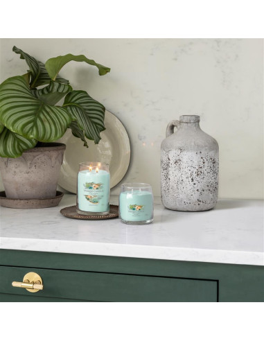 Yankee Candle Aloe & Agave Signature