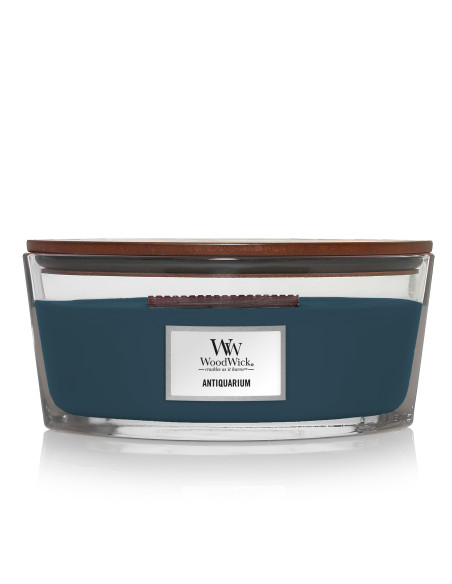 WoodWick Duftkerze Ellipse Antiquarium