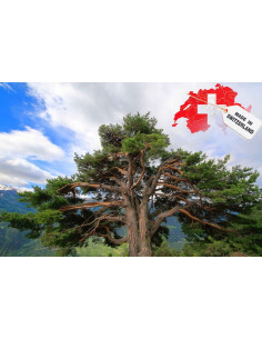 ARVE Diffusore d'ambiene con bastoncini 2