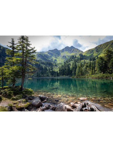 ARVE Raumduft Set mit Stäbchen
