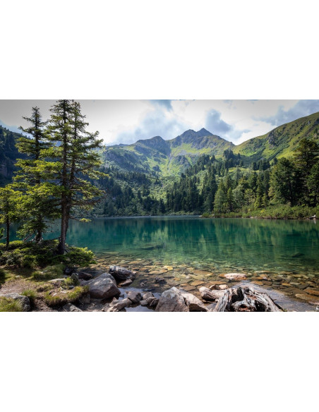 ARVE Raumduft Set mit Stäbchen