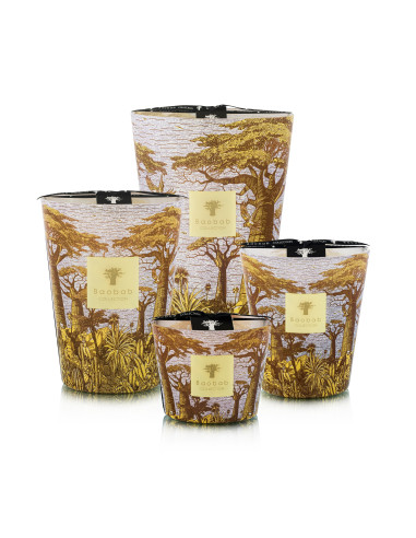 Baobab Collection Sacred Tree Cocody