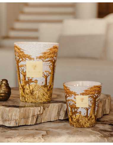 Baobab Collection Sacred Tree Cocody