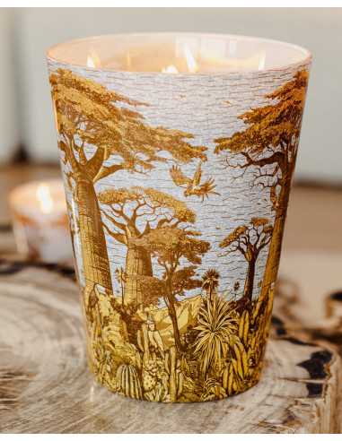 Baobab Collection Sacred Tree Cocody