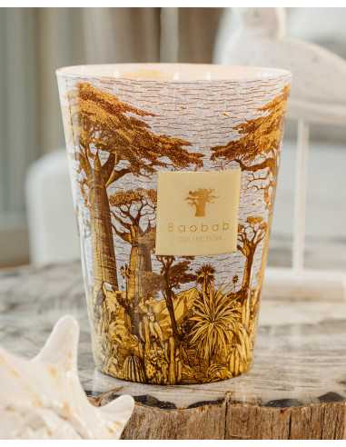 Baobab Collection Sacred Tree Cocody
