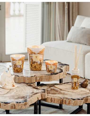 Baobab Collection Sacred Tree Cocody