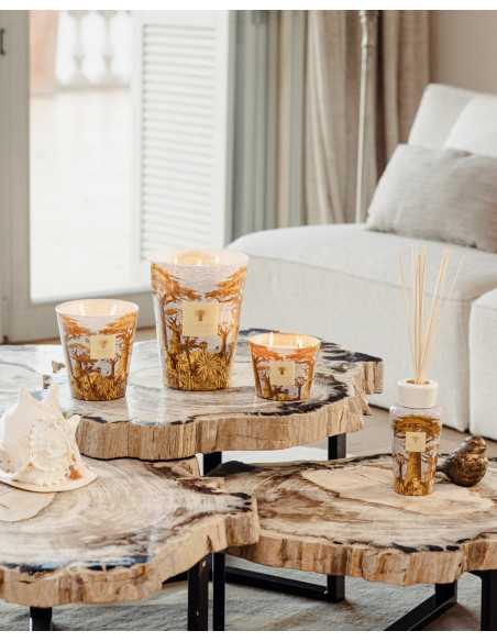 Baobab Collection Sacred Tree Cocody