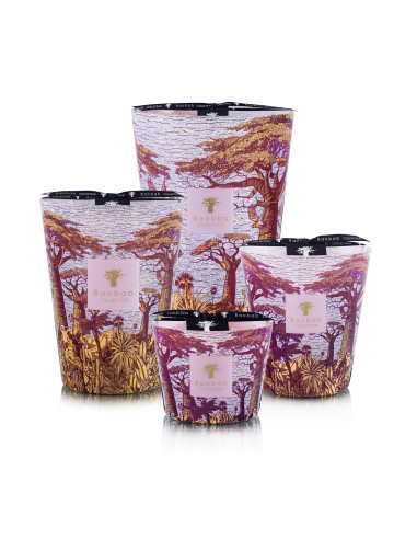 Baobab Collection Sacred Tree Massasso