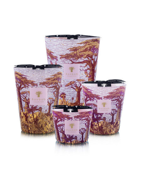 Baobab Collection Sacred Tree Massasso