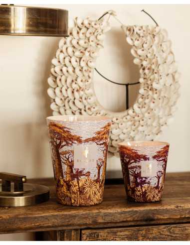 Baobab Collection Sacred Tree Massasso