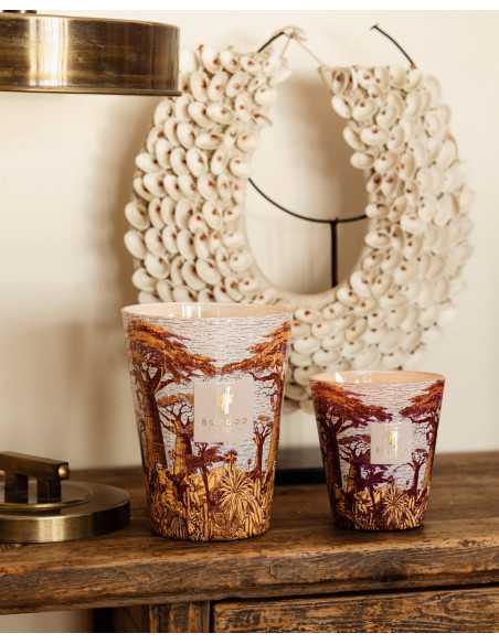 Baobab Collection Sacred Tree Massasso