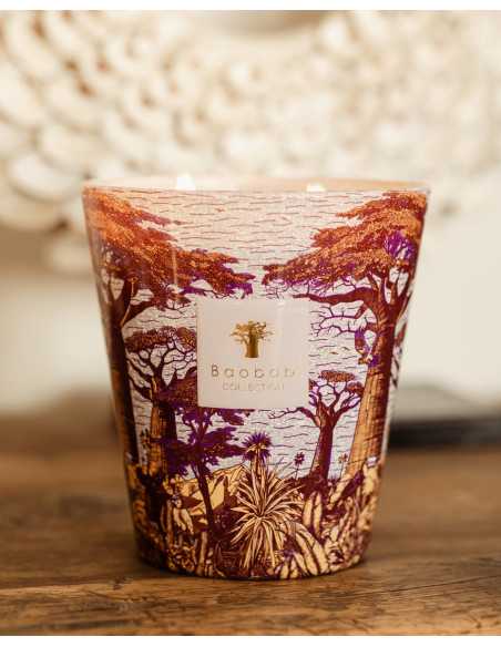 Baobab Collection Sacred Tree Massasso