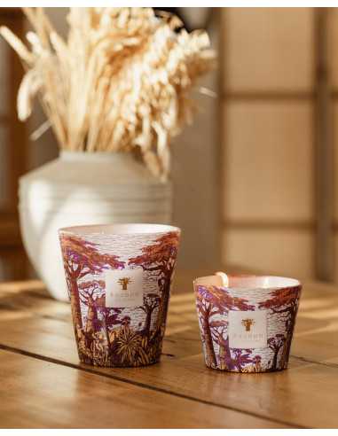 Baobab Collection Sacred Tree Massasso