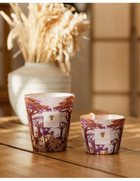 Baobab Collection Sacred Tree Massasso