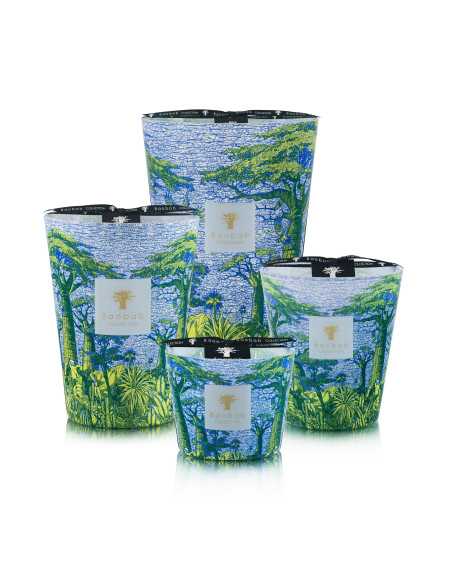 Baobab Collection Sacred Tree Yarani