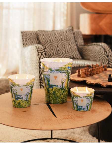 Baobab Collection Sacred Tree Yarani