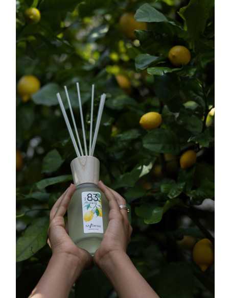 MySenso Raumduft Nr. 83 Limone